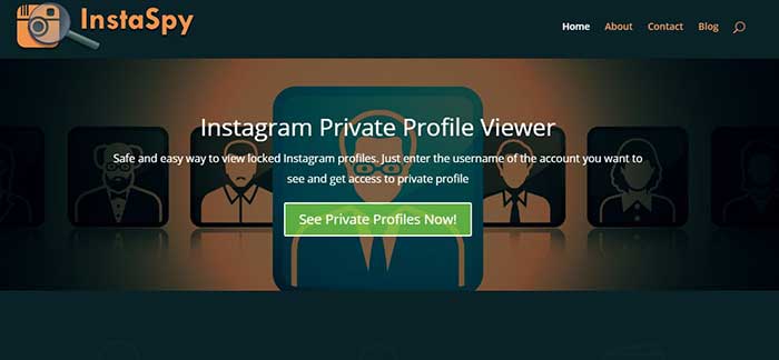 view private account instagram online without human verification